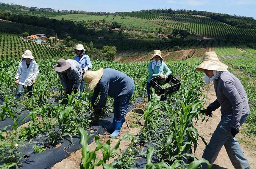 Farm Workers